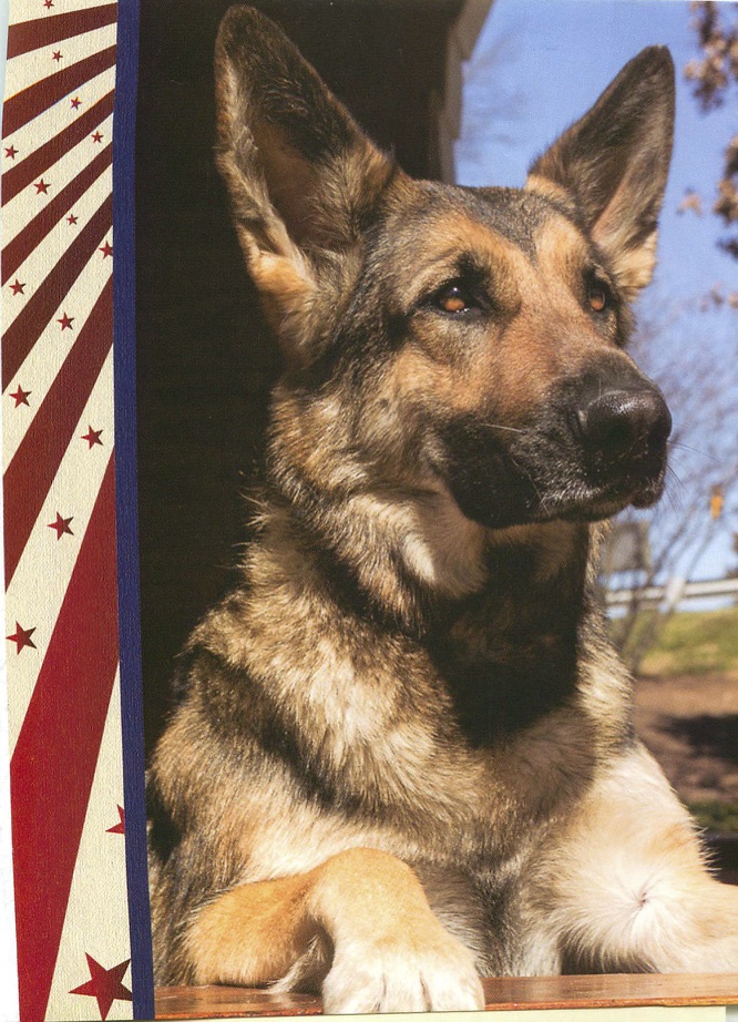 Card Cover - Thank you to you